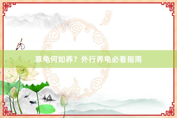 草龟何如养？外行养龟必看指南